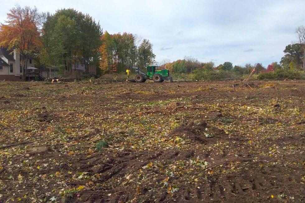 Land Clearing Services Lang Land Clearing